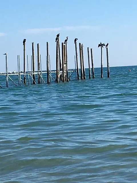 Appartamento Levantina Lido di Jesolo